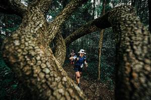 BIB: 
                            <button type="button" onclick="openModal(25393501)" class="btn btn-primary btn-sm float-right btn-popup" data-toggle="modal" data-target=".modal-high-quality">
                        <i class="fas fa-shopping-cart"></i> Add to Cart
                    </button>
                                            <button type="button" onclick="isThisMe(25393501, true)" class="btn btn-success btn-sm float-right btn-popup btn-isme hidden" data-toggle="tooltip" data-placement="bottom" title="นี่คือรูปของคุณใช่ไหม คลิกที่นี่เพื่อเอาเข้าอัลบั้ม">
                        <i class="fas fa-plus"></i> Add to album
                    </button>
                    <button type="button" onclick="isThisMe(25393501, false)" class="btn btn-warning btn-sm float-right btn-popup btn-isnotme hidden">
                        <i class="fas fa-ban"></i> Remove from album
                    </button>